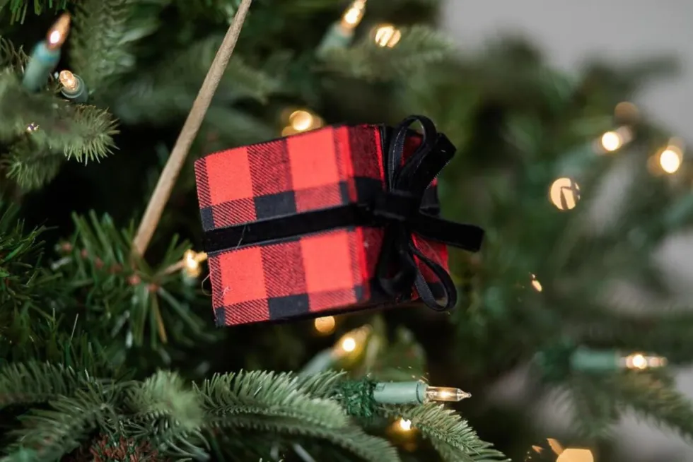 24” Buffalo Plaid Package with Bow Spray