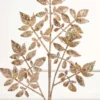 28" Champagne Glitter Leaf Spray
