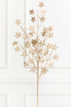 31" Champagne Star Spray