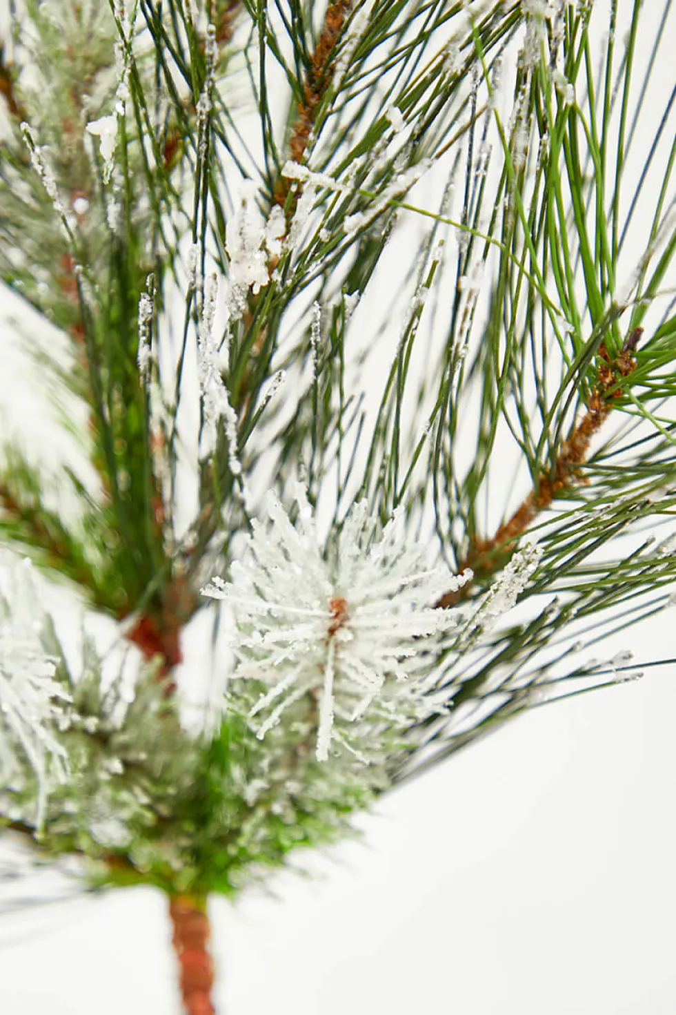 24" Christmas Flocked Pine Spray