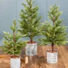 19"-29" Christmas Pine Tree - Set of 3
