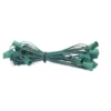 C9 Socket Cord - 25' 12" Spacing