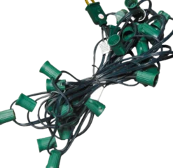 C9 Socket Cord - 25' 6" Spacing