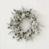 24" Dandan Plug-In Flocked Wreath with Warm White LED Lights