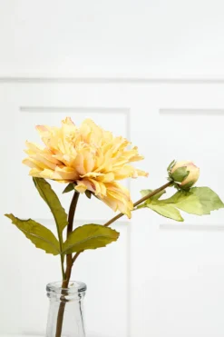 21" Dried Dahlia with Bud Stem