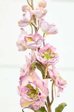 27" Dried Delphinium Stem