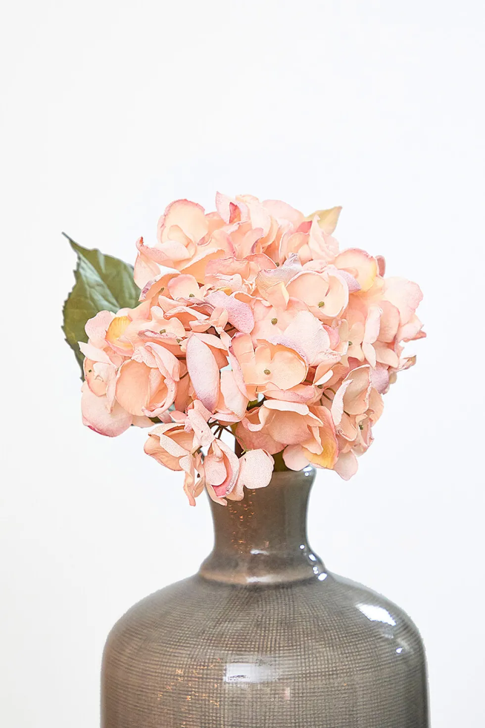 22" Dried Grand Hydrangea Stem - Pink