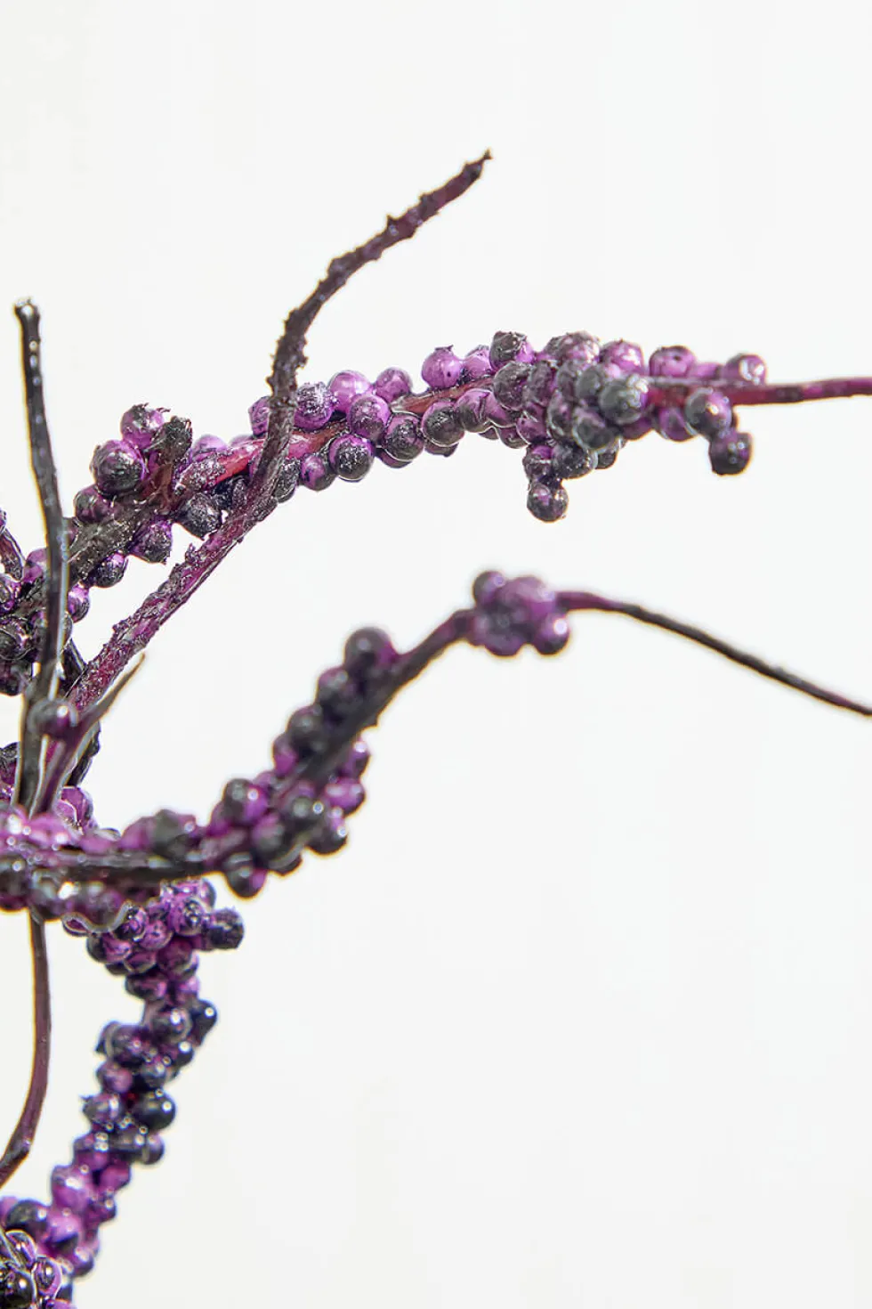 32" Drippy Berry Spray