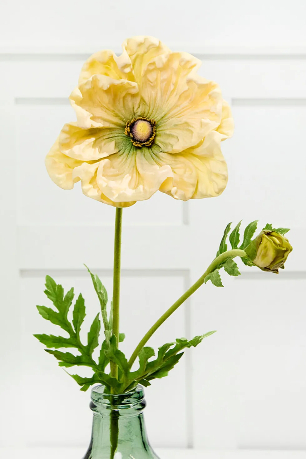 29" Giant Ranunculus Stem