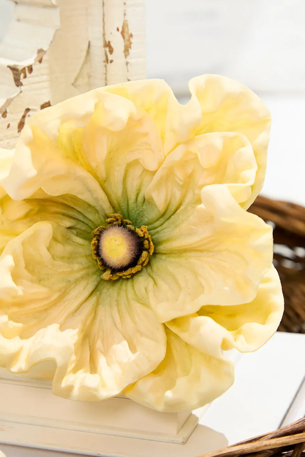 29" Giant Ranunculus Stem