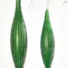 7" Green Glass Ornament