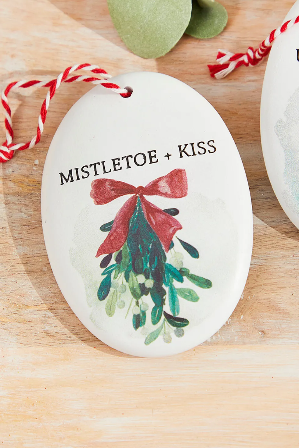 4.5" Holiday Resin Disc Ornament