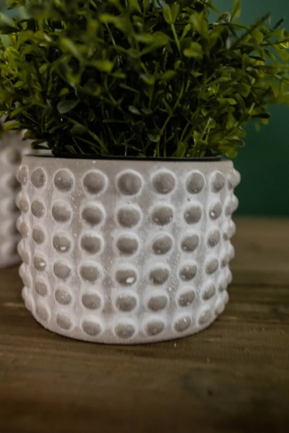 4"H x 5”D Stone Geo Dotted Hobnail Pot