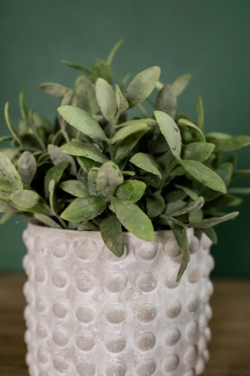 5"H x 6”D Stone Geo Dotted Hobnail Pot