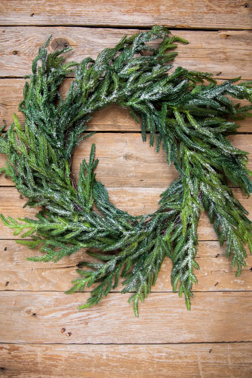 24” Iced Garden Norfolk Pine Wreath