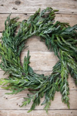 24” Iced Garden Norfolk Pine Wreath