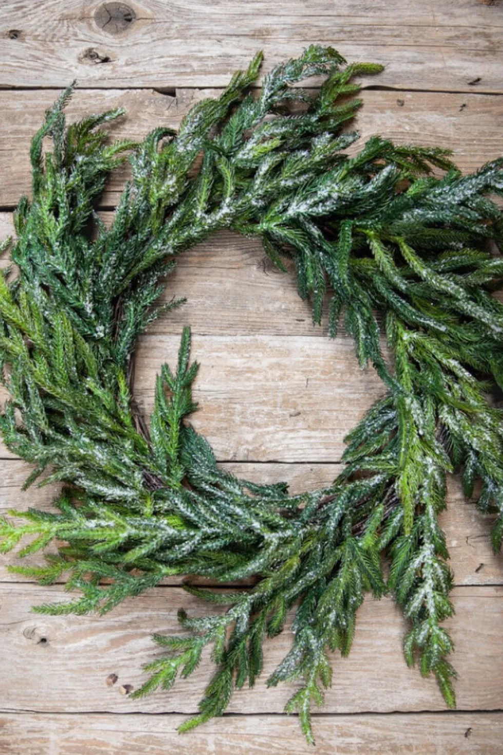 24” Iced Garden Norfolk Pine Wreath