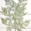 19'' Incense Cedar Glitter Spray - Sage