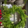24” Just Cut Norfolk Pine Wreath