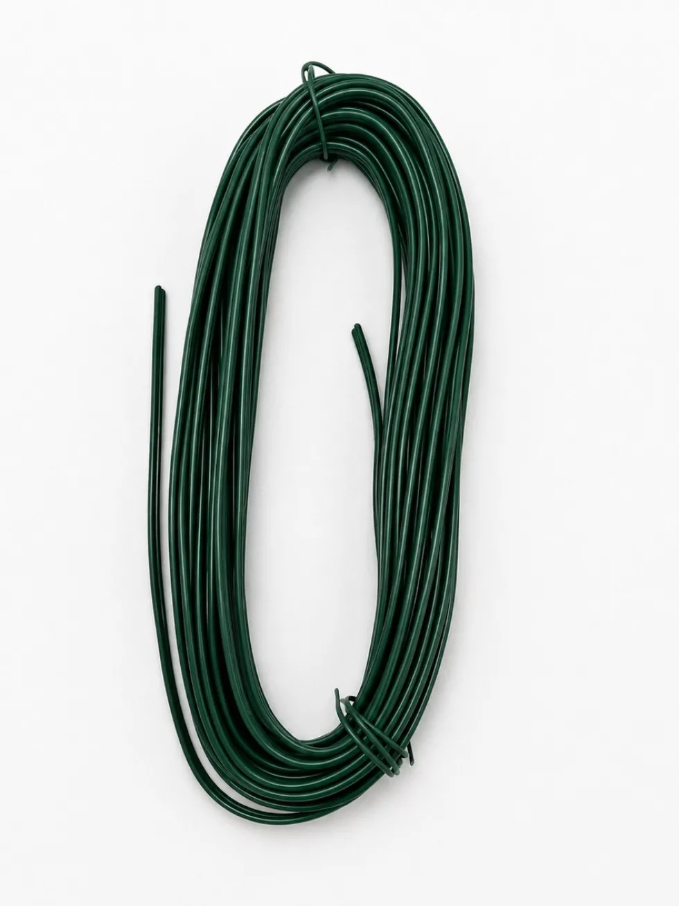 Lamp Cord - 50'