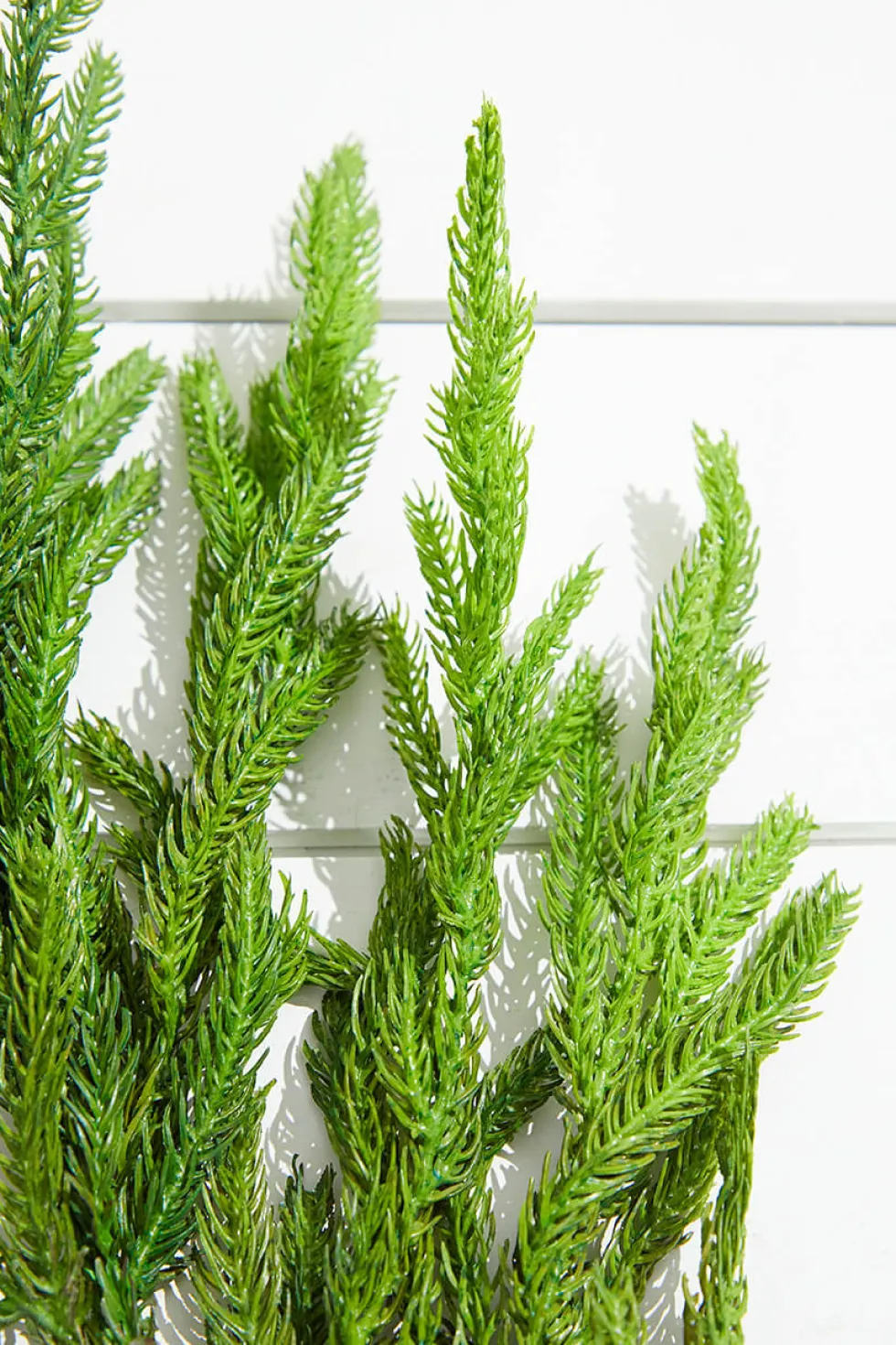 38” Natural Touch Norfolk Pine Christmas Spray