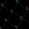 Net Cool White/Red - 5mm 100L 4'x6'