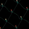 Net Warm White/Red - 5mm 100L 4'x6'