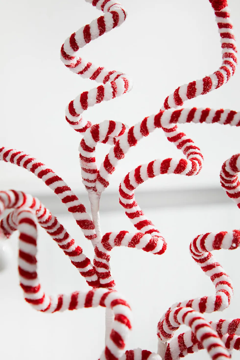 23” Peppermint Curly Spray