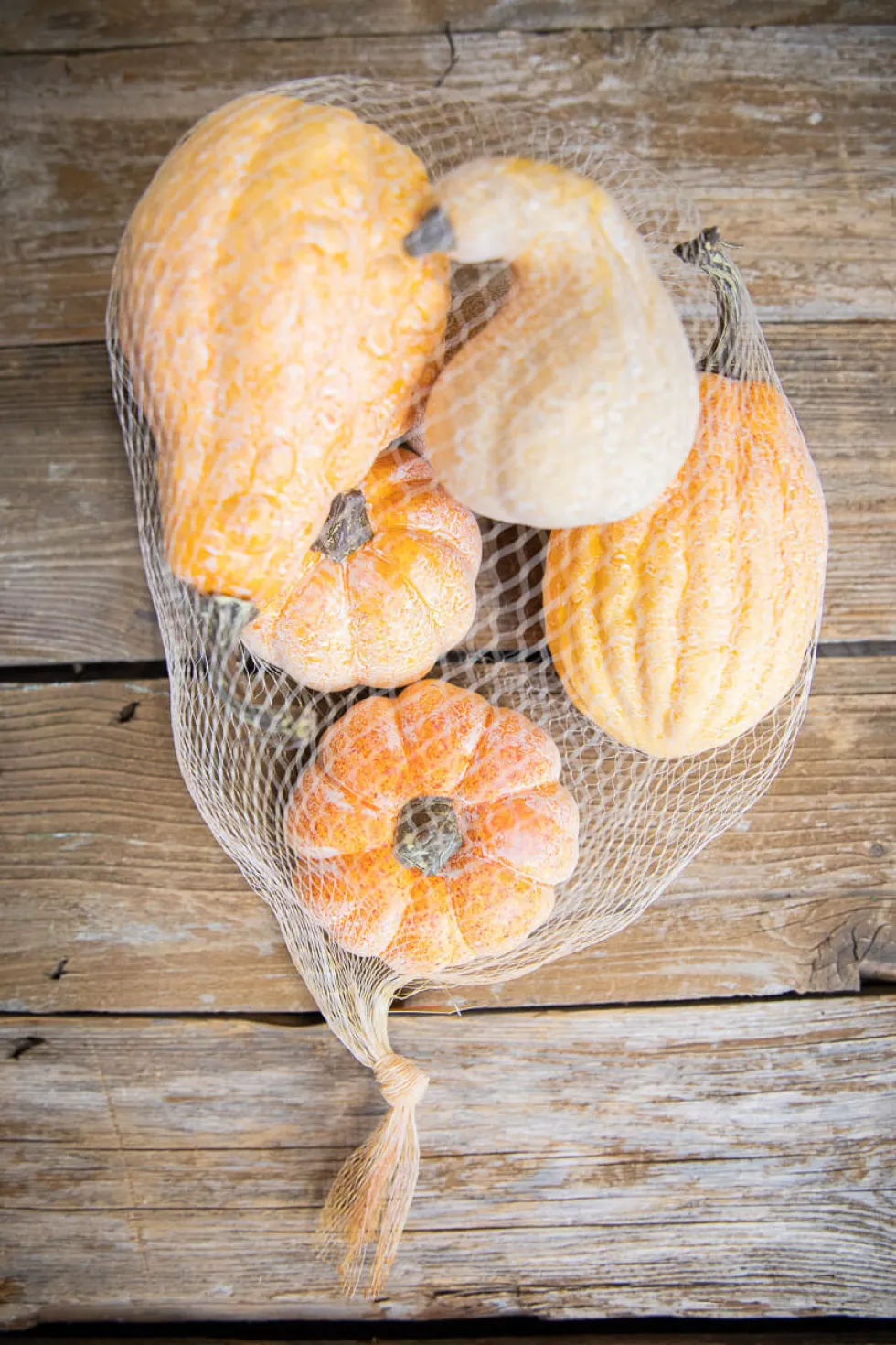 6 Piece Pumpkins & Gourds with Mesh Bag