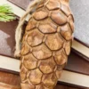 5.75" Pinecone Wood Ornament