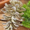 5” Plastic Glitter Long Leaf Pinecone