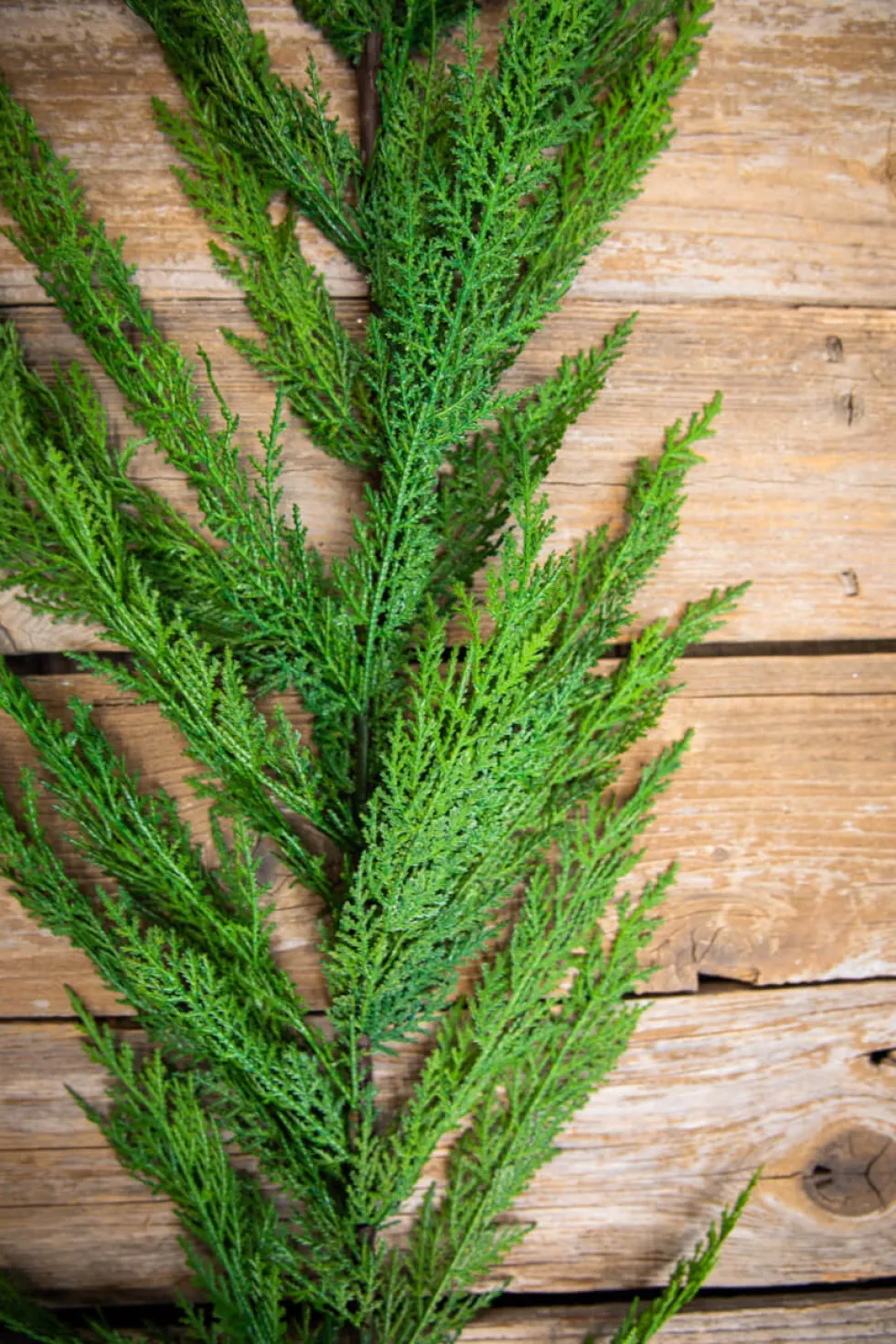 48” Real Touch Lebanon Cedar Full Garland