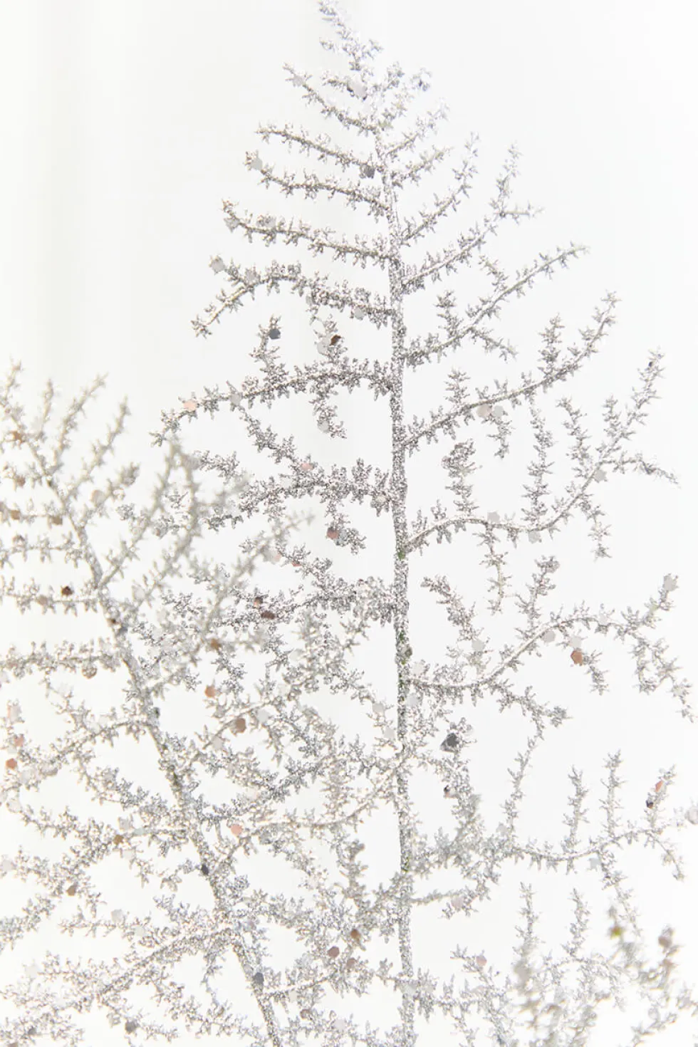 35" Silver Glitter Fern Spray