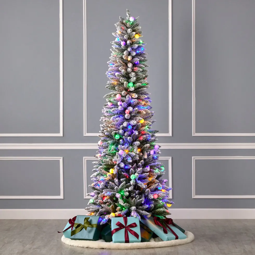 7' Slim Snow Kissed Pine Tree with 250 Multicolor LED Lights