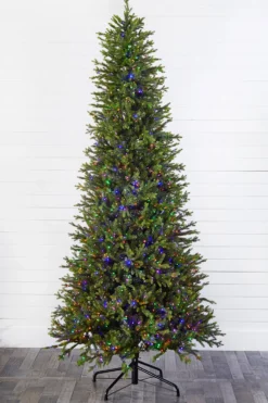 10' Slim Southern Fir with 2000 3mm Lights