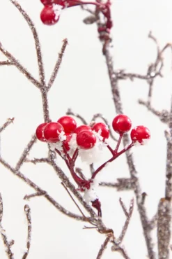 32" Snow Berry Spray