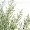 18" Snow Cedar Pine Bush