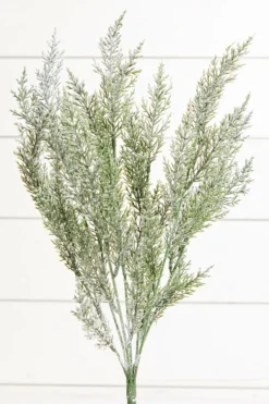 18" Snow Cedar Pine Bush