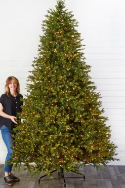 10' Southern Fir with 3000 3mm Lights
