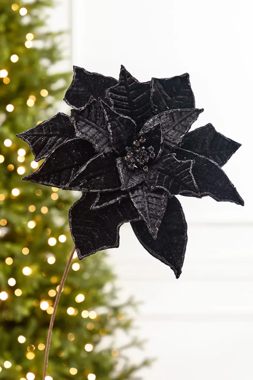 19" x 14" Black Velvet Poinsettia Stem
