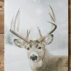 16 x 24” Buck Deer In Snowy Field Print
