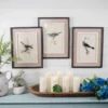 15" x 20" Framed Bird Print with Glass