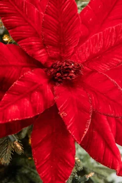 22” x 17” Giant Velvet Poinsettia Stem - Deep Red