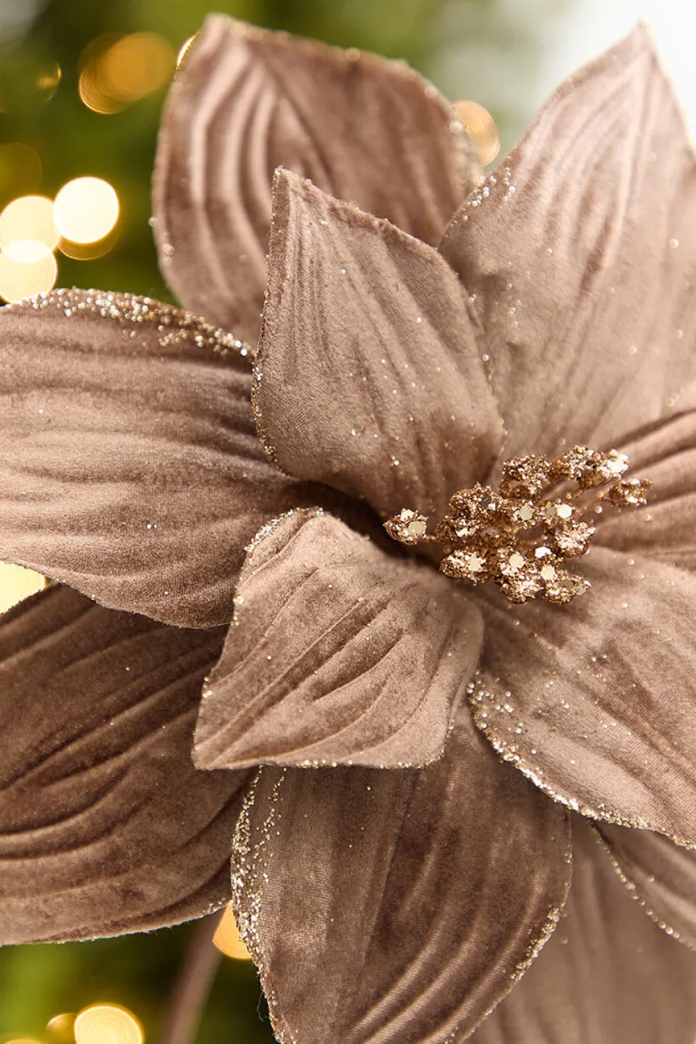 22" x 11.5" Light Brown Velvet Glitter Poinsettia Stem