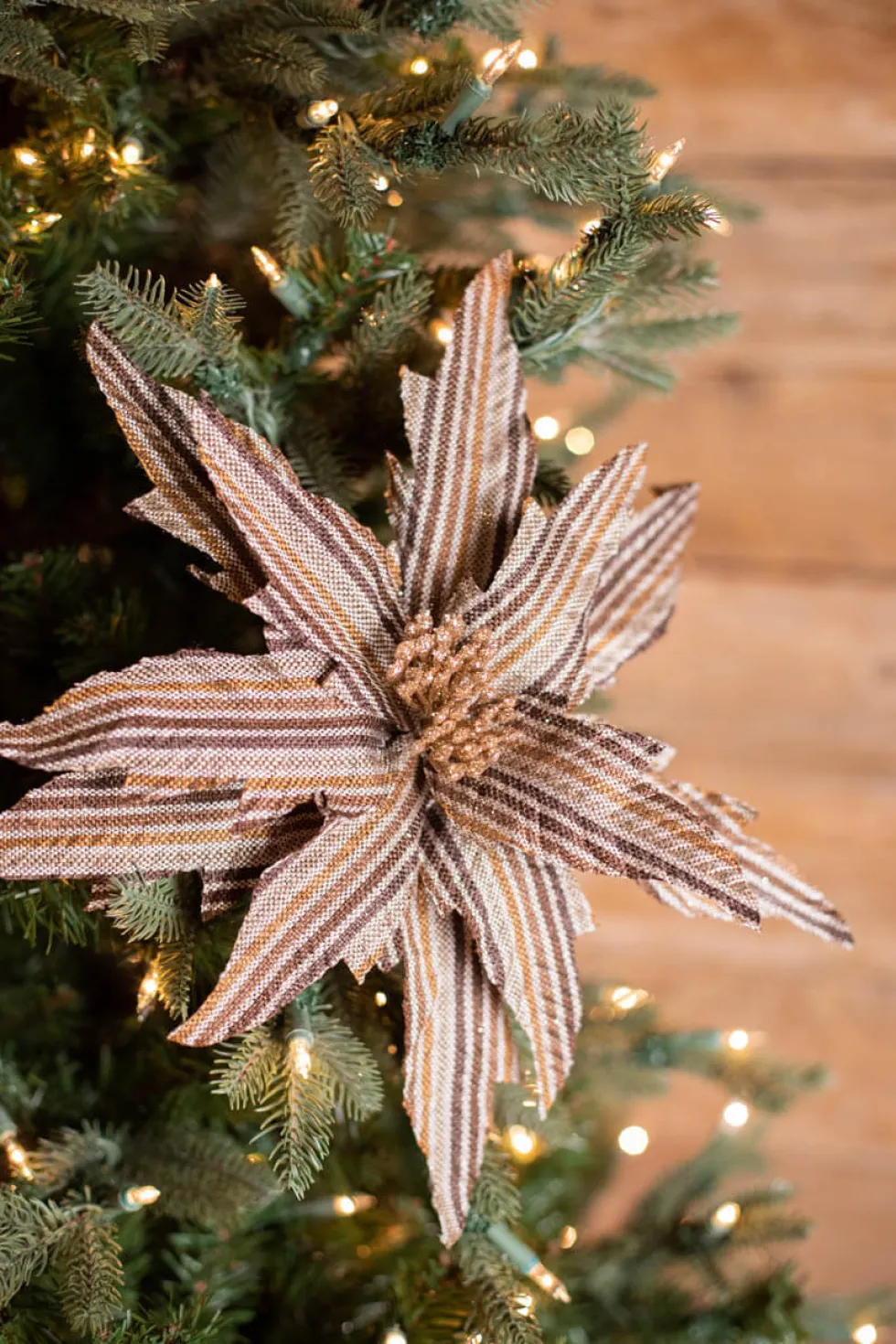 22” x 15" Natural Brown Striped Poinsettia Stem