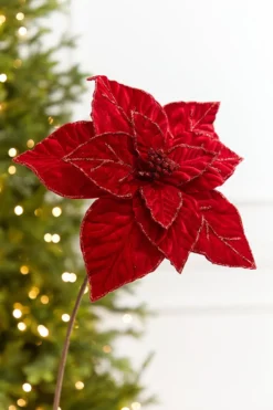 22" x 13" Red Velvet Poinsettia Stem
