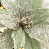 20" x 12” Sage Poinsettia Stem