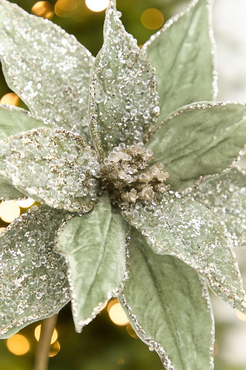 20" x 12” Sage Poinsettia Stem