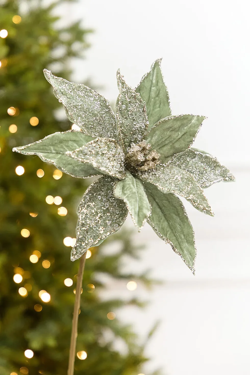 20" x 12” Sage Poinsettia Stem