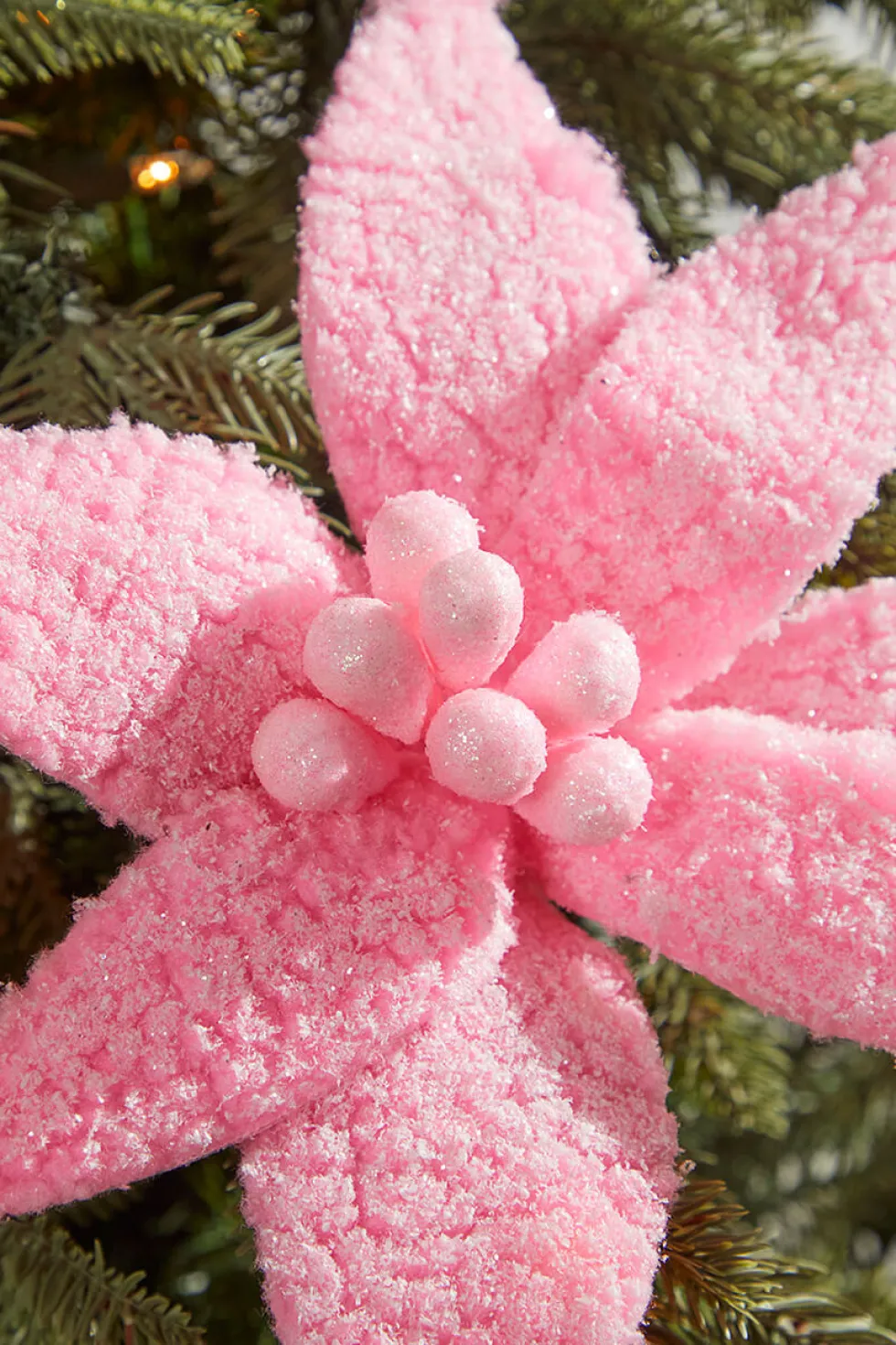 20” x 12" Sugared Cotton Candy Poinsettia Stem